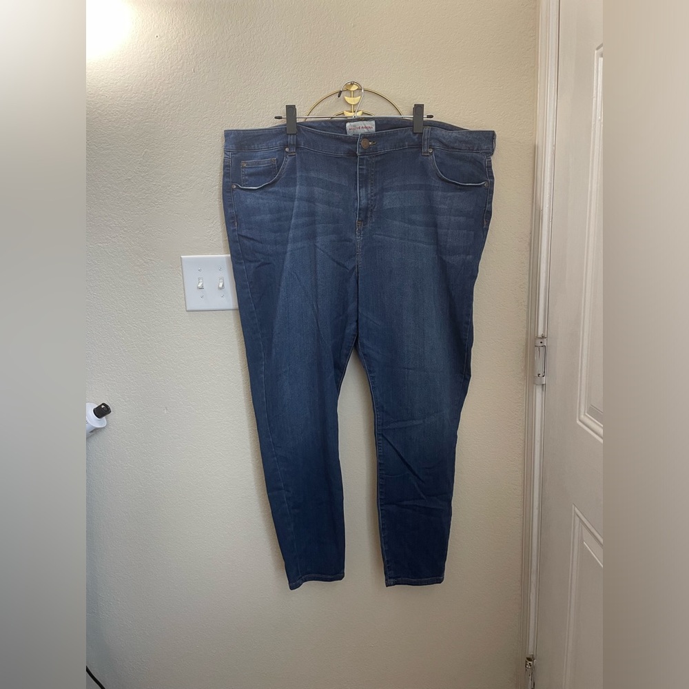 Size 26W Molly & Isadora Jeans